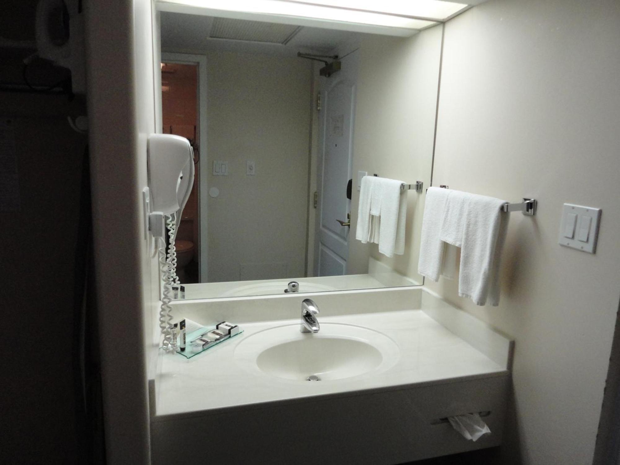 Chateau Louis Hotel & Conference Centre Edmonton Eksteriør billede